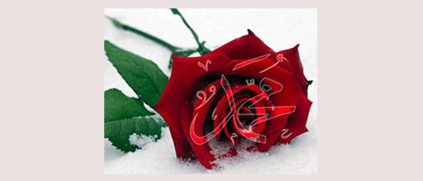 Ramazanı Şerifiniz Hayırlı Olsun