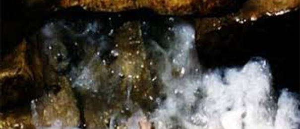 Zemzem suyunun sırrı çözüldü